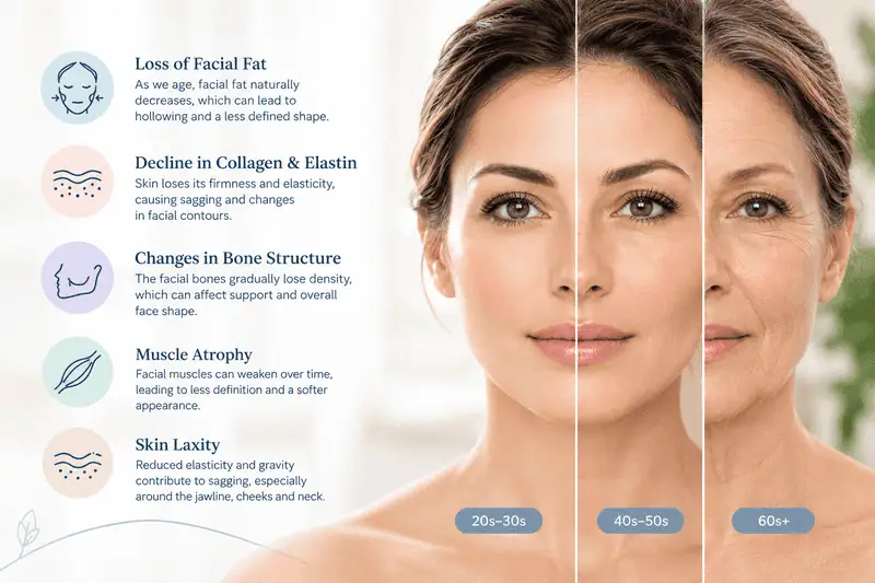 Aging Facial Changes